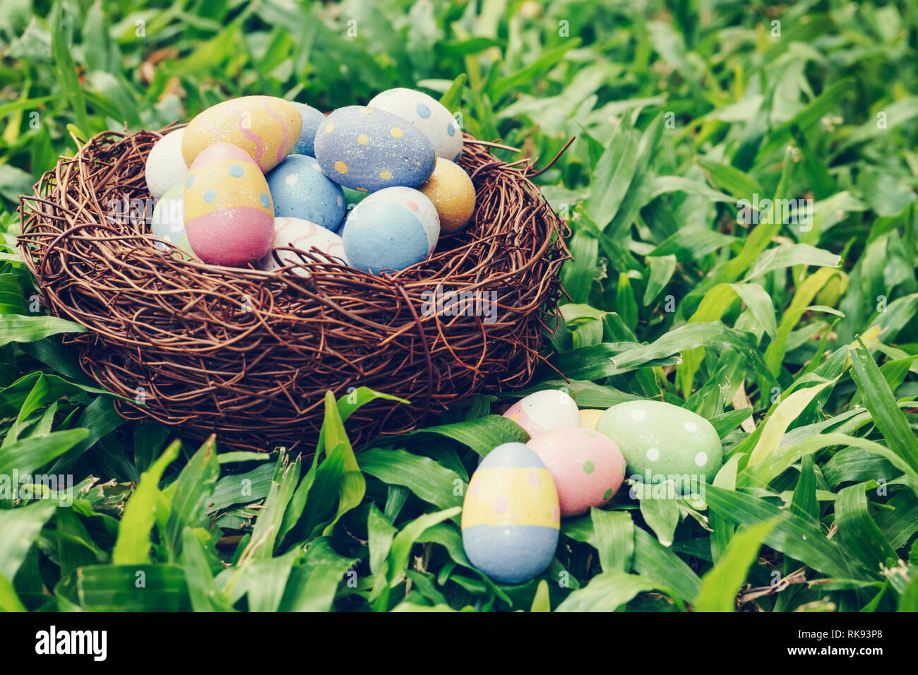 Colorful easter eggs and nest on green grass with sunlight. vintage ...