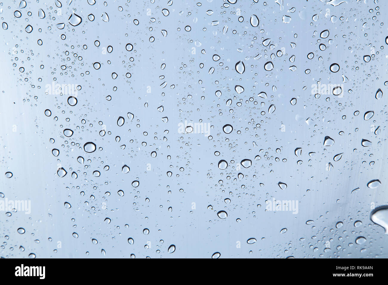 Rain drops on a window Stock Photo
