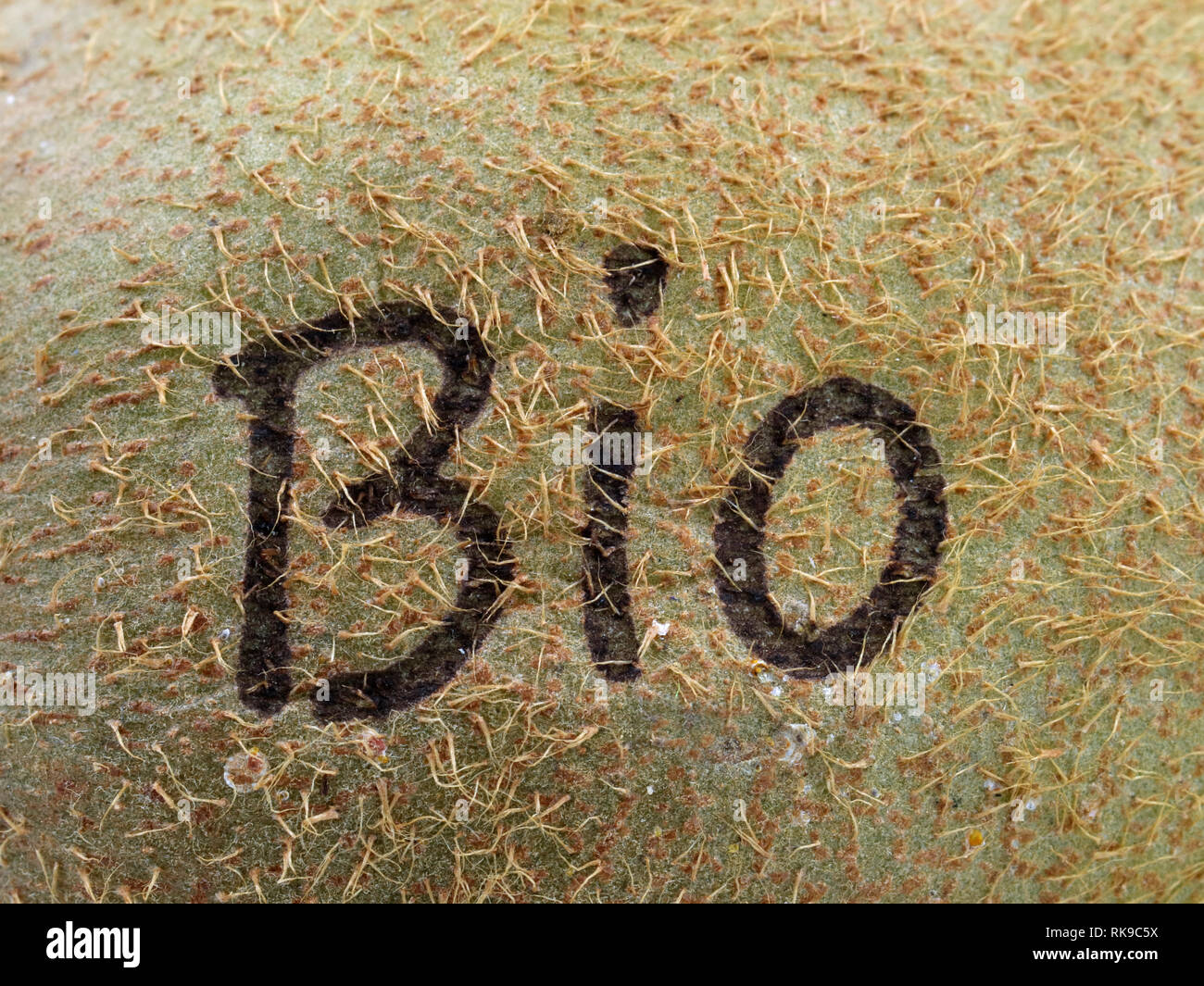 BIO laser imprint on kiwi, close up Stock Photo