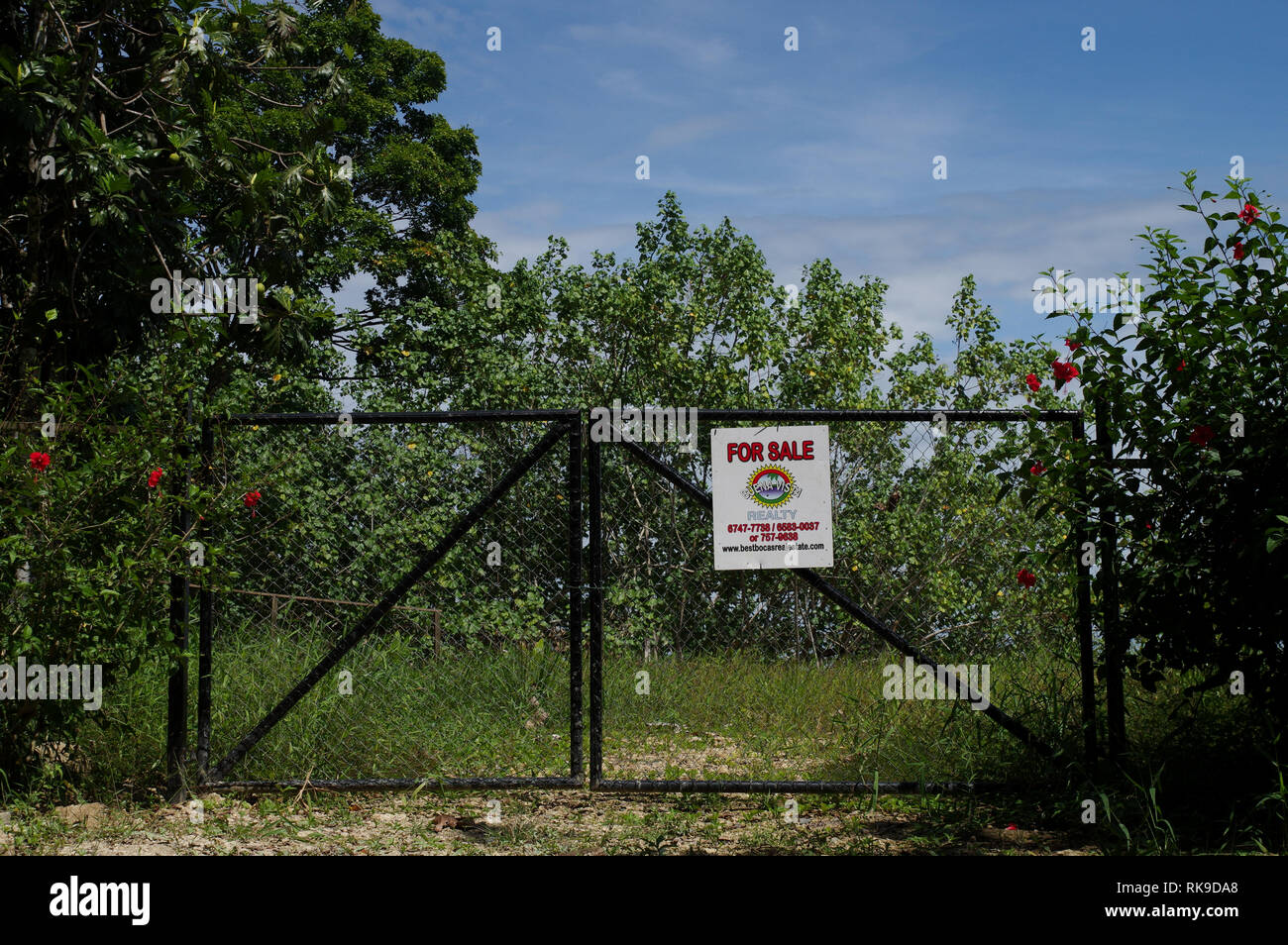 Seaside land for sale on Colon Island in Bocas Del Toro Archipelago