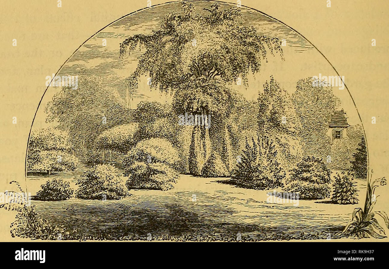 . The art of beautifying suburban home grounds of small extent ...