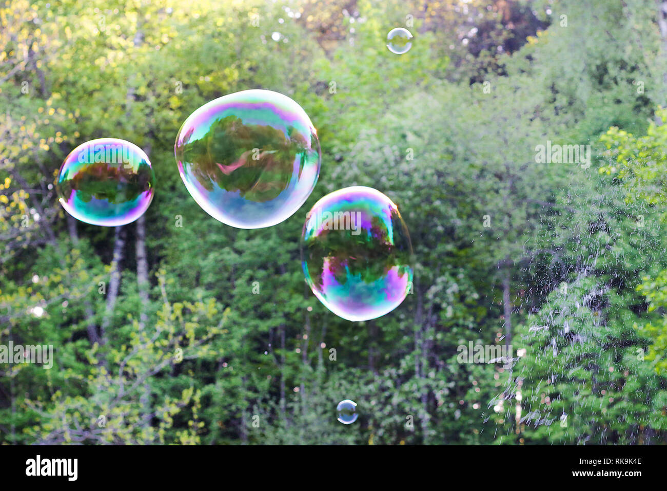 Soap bubble with the reflection on green natural background Stock Photo ...