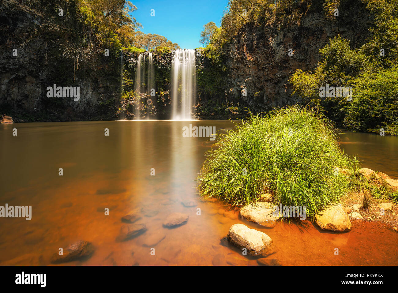 Dangar Falls in the Rainforest of Dorrigo National Park, Australia Stock Photo