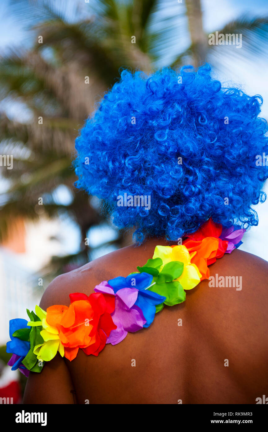 Brightly colored rainbow flower lei and blue afro wig on an unrecognizable man at a Brazilian Carnival street party in Rio de Janeiro, Brazil Stock Photo