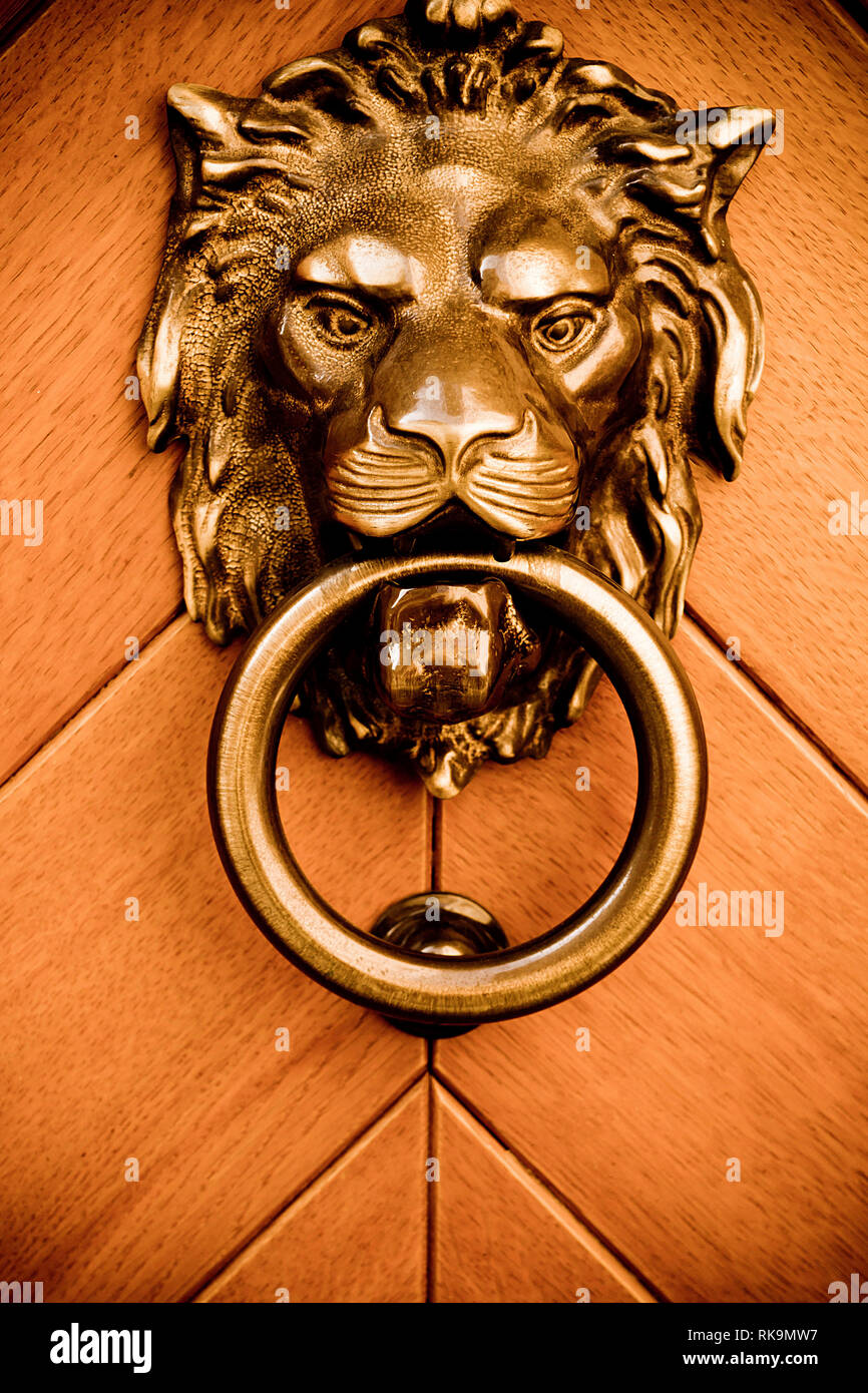 door knocker of a bronze lion head Stock Photo Alamy
