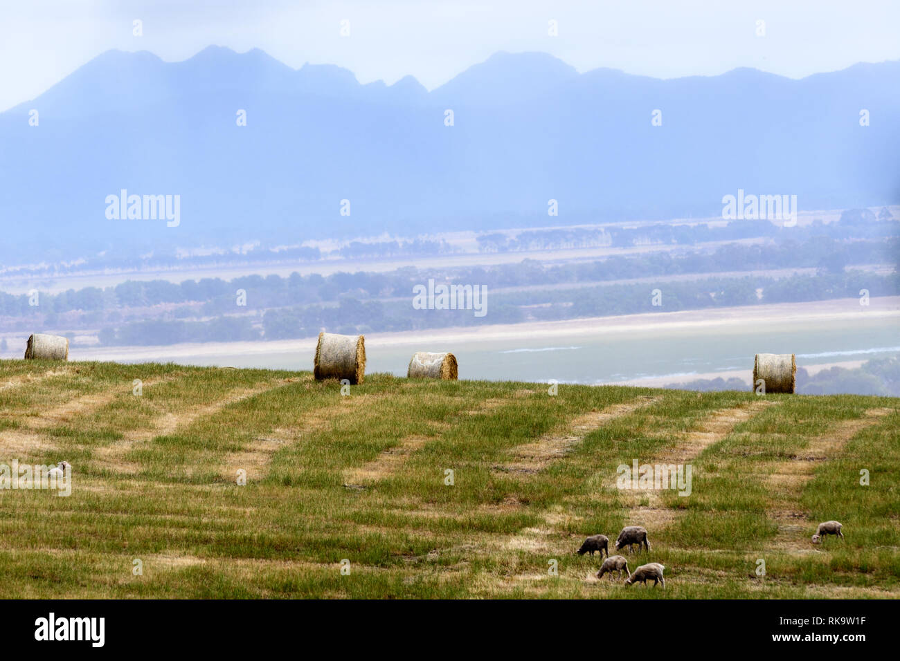 A misty Spring morning in the Australian Grampians Stock Photo - Alamy