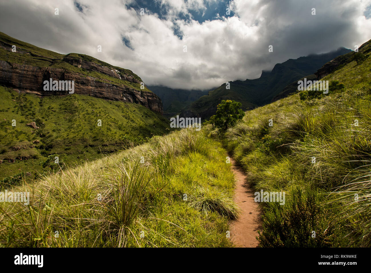 The Tugela Gorge hiking trail leading along a brightly lit hillside towards the Amphitheatre Mountain in the Drakensberg, South Africa Stock Photo