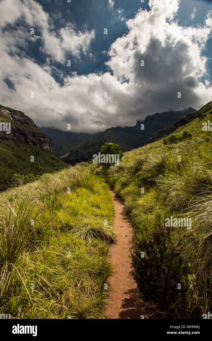 The Tugela Gorge hiking trail leading along a brightly lit hillside towards the Amphitheatre Mountain in the Drakensberg, South Africa Stock Photo