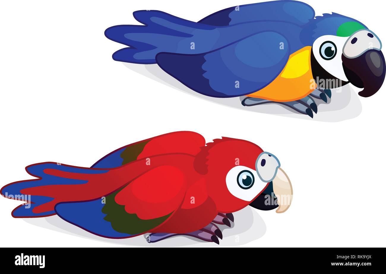 vector cartoon animal clipart: ara parrots, macaw Stock Vector Image & Art  - Alamy