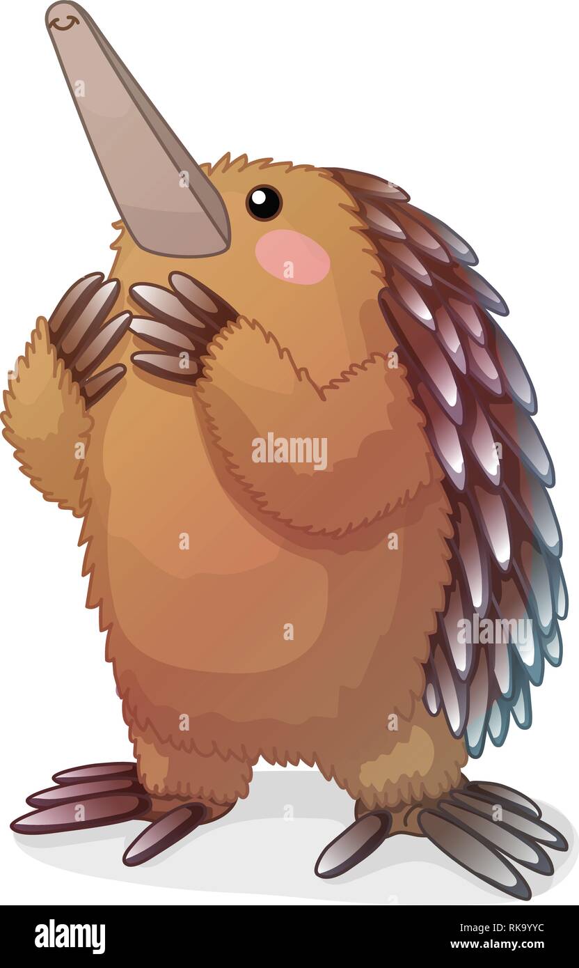 Download vector cartoon animal clipart: cute echidna Stock Vector ...