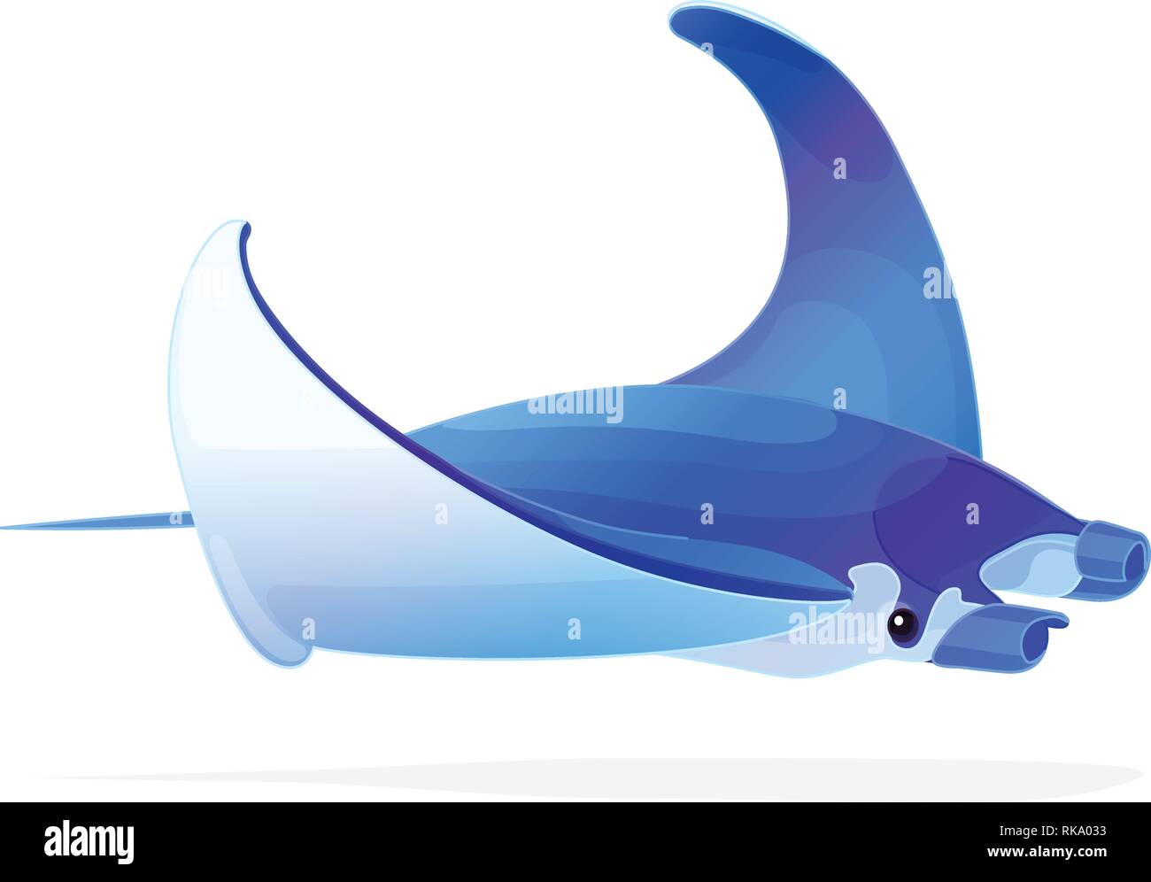 Vector Cartoon Animal Clipart Exotic Manta Ray Stock Vector Image Art Alamy Vector Cartoon Animal Clipart Exotic Manta Ray Stock Vector Image Art Alamy