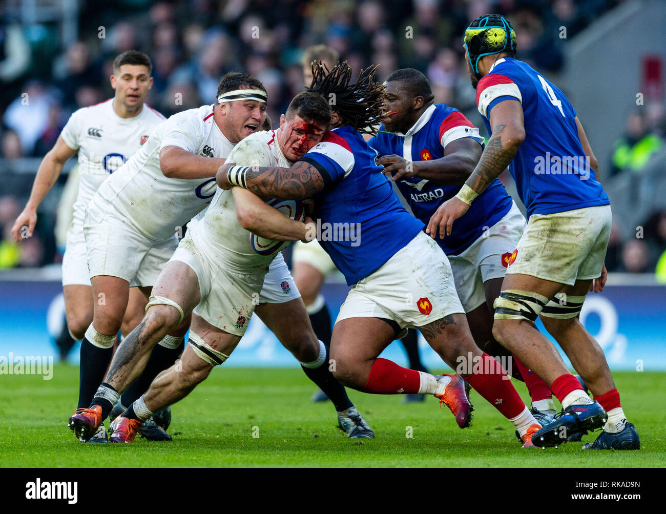 Tom curry rugby hi-res stock photography and images - Alamy