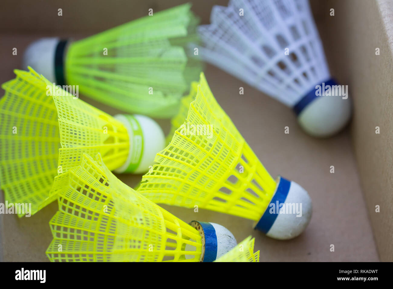 badminton shuttlecocks in box Stock Photo