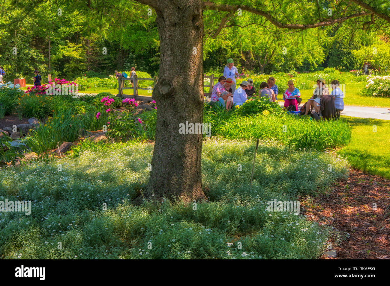 The Montreal Botanical Garden, a large botanical garden in Montreal