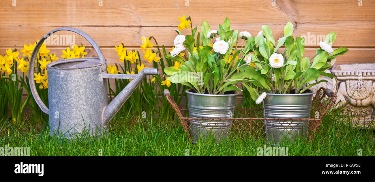 Watering can and flowers in a garden Stock Photo Alamy