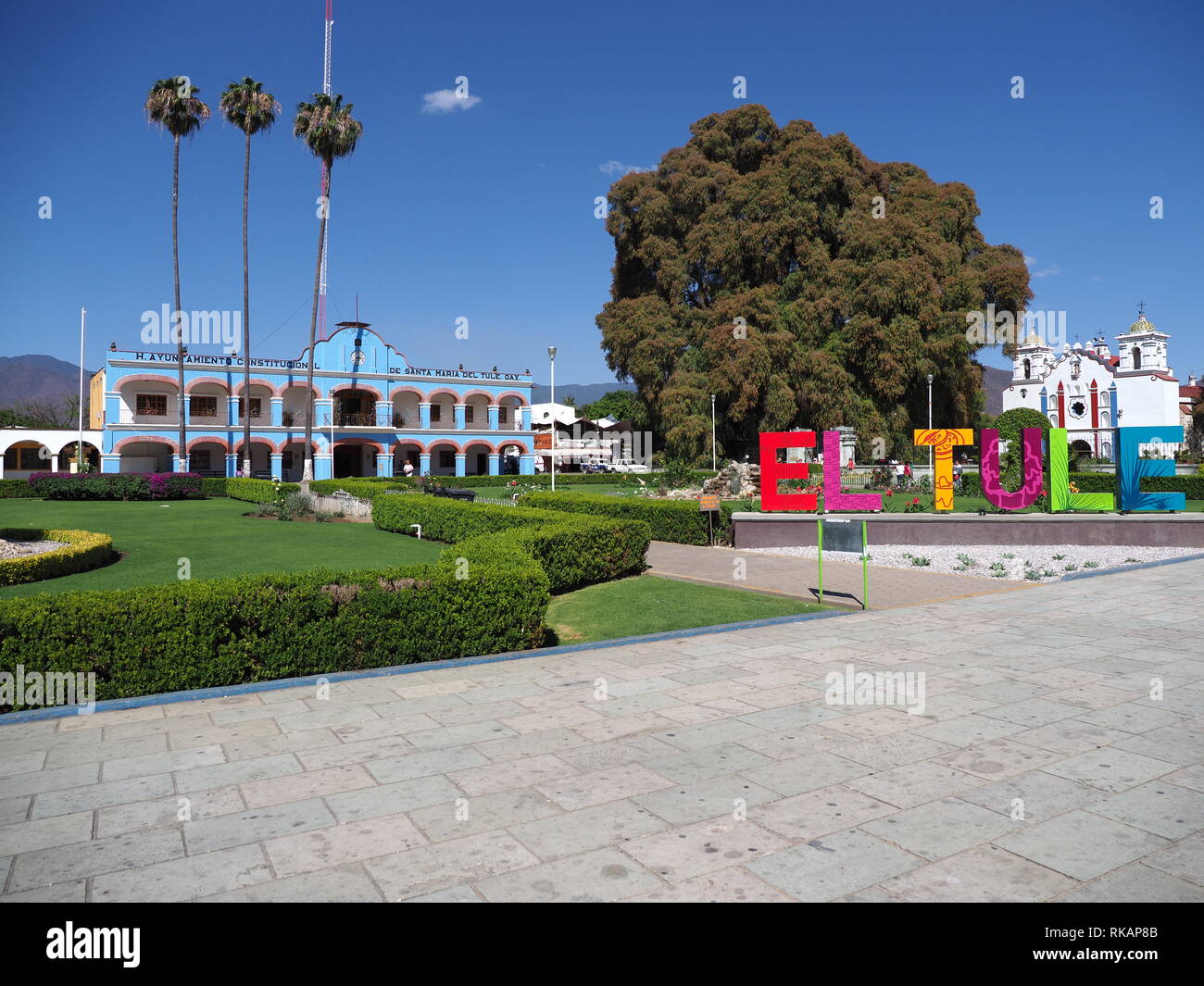 Scenic main square in front of town hall and cypress tree with stoutest trunk in Santa Maria del Tule city in Mexico Stock Photo