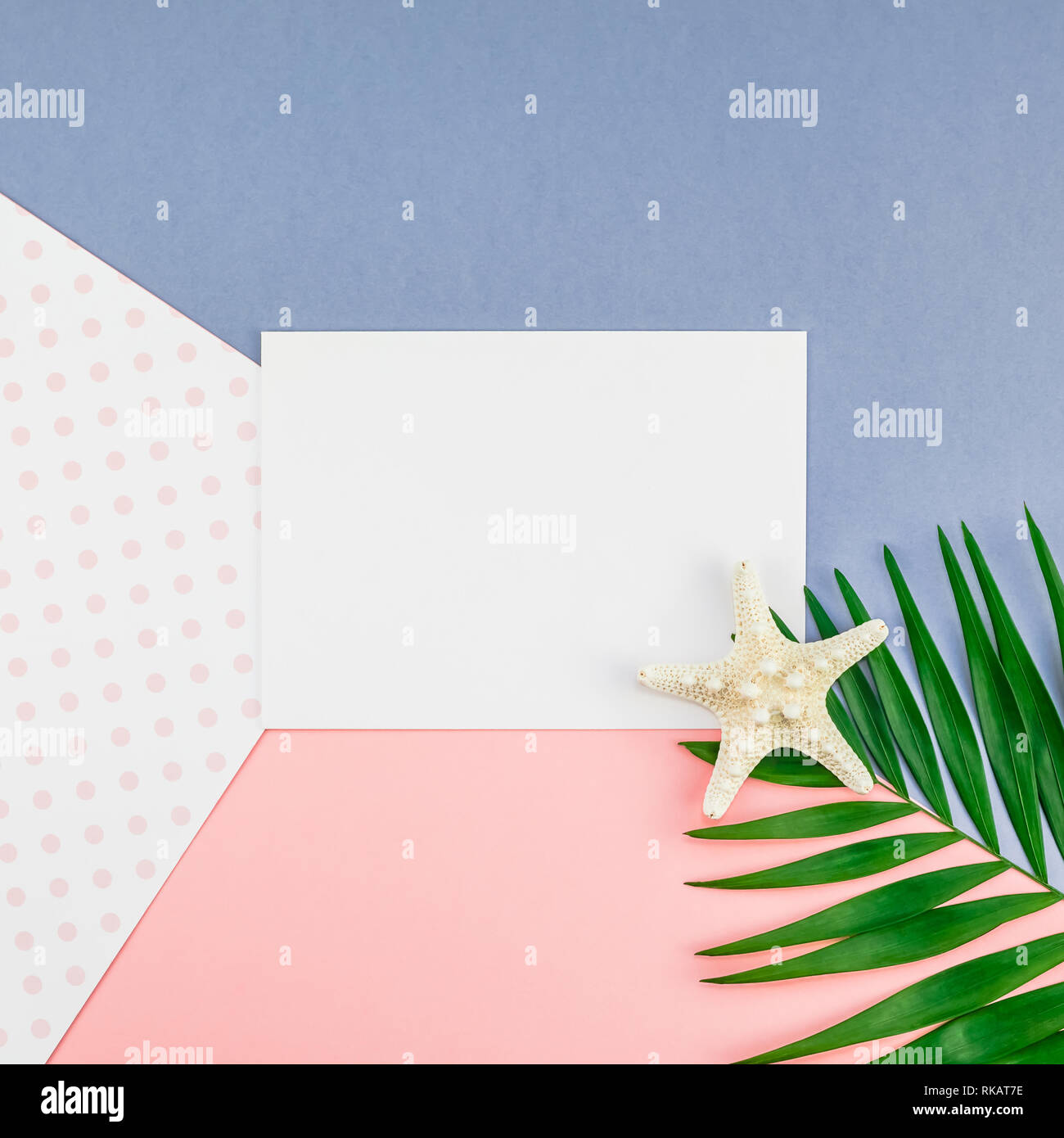 Creative flat lay top view mock up green tropical palm leaves coconuts ...