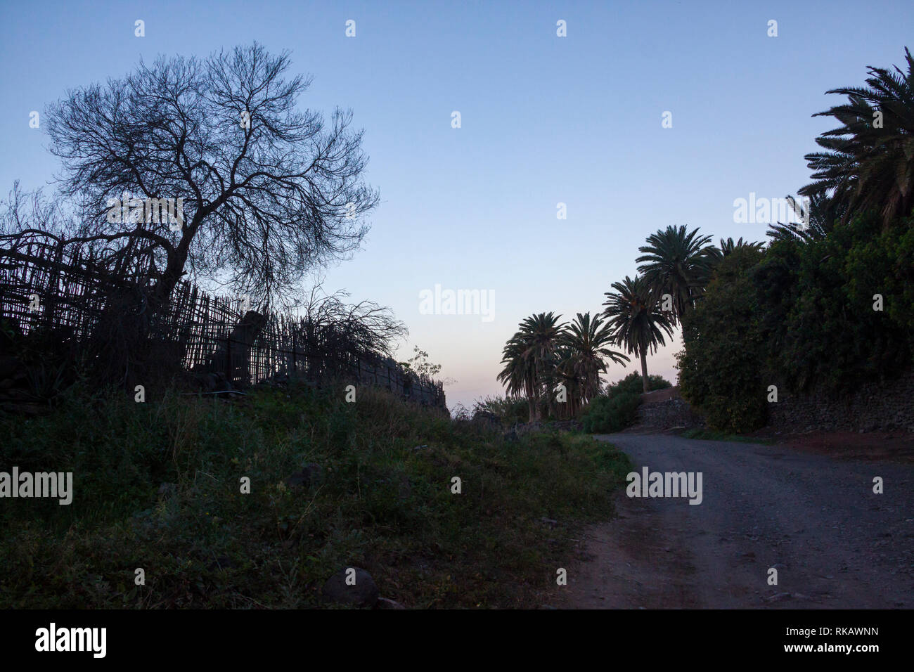 Agaete ravine in Gran Canaria, Spain - Stock Image