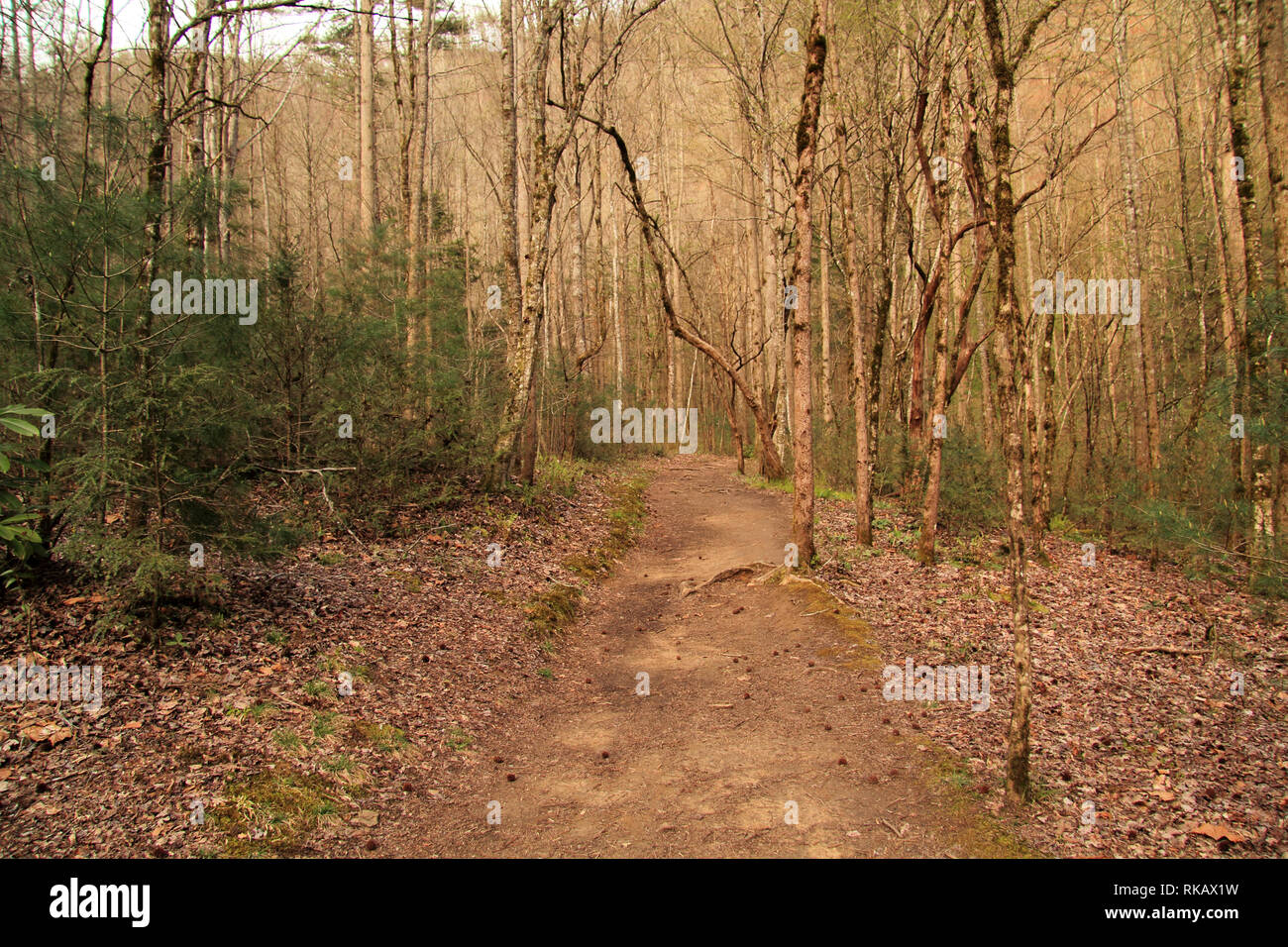 Meigs Creek Trail Is A Moderate Out And Back Hiking Trail That Is Meigs Creek Trail Is A Moderate Out And Back Hiking Trail That Is