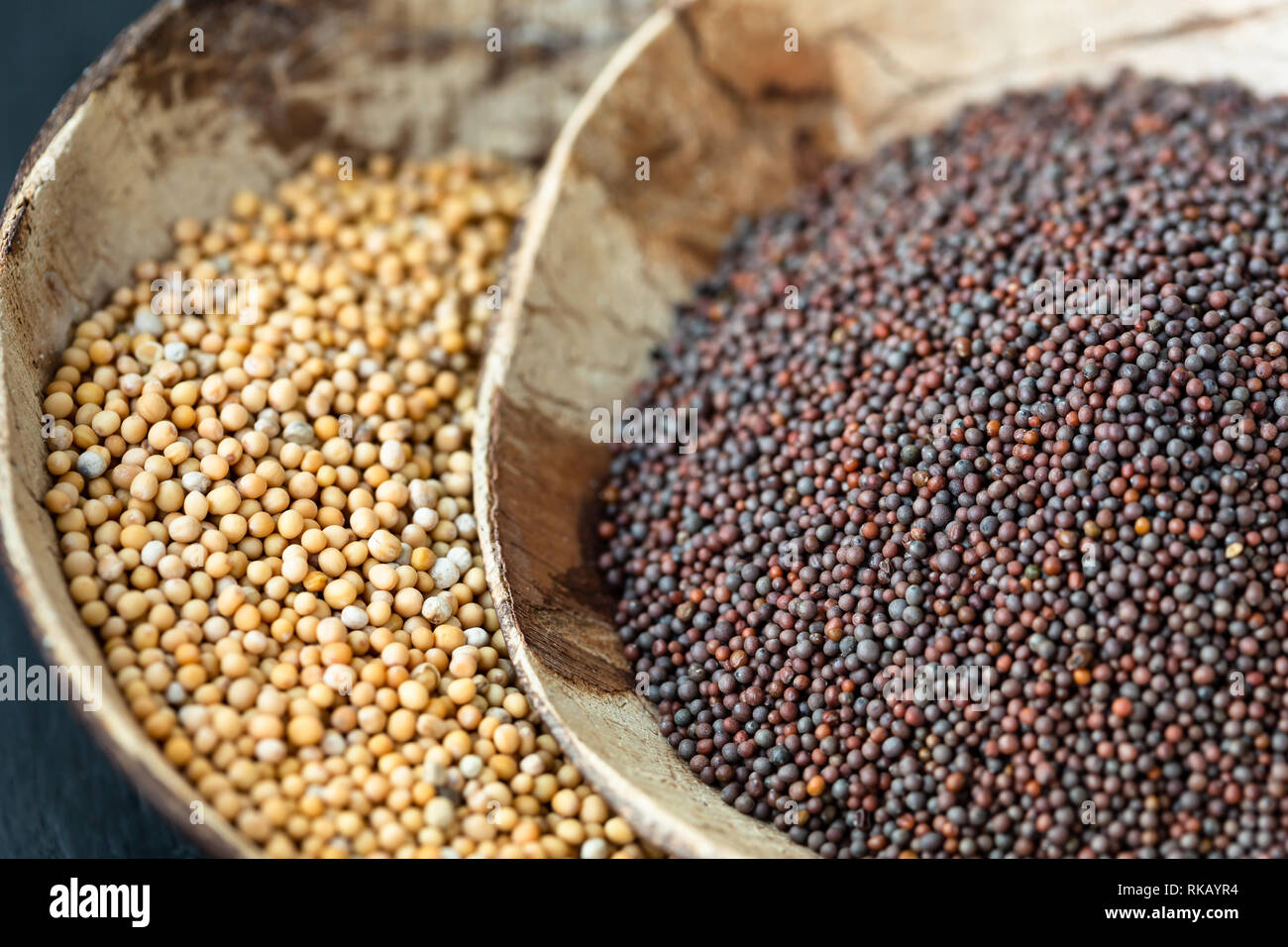 Black mustard seed hires stock photography and images Alamy