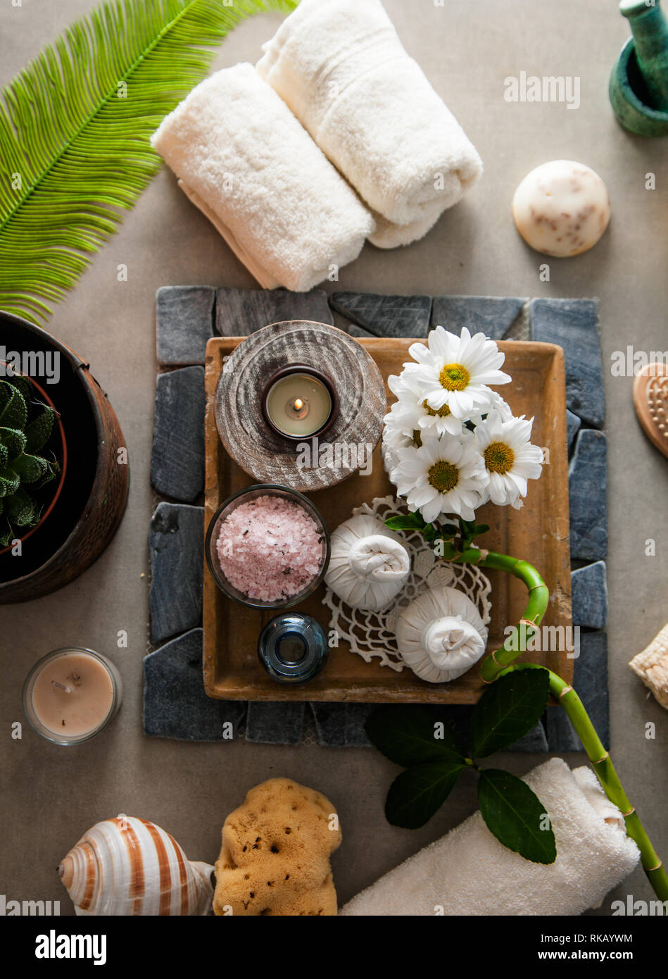Spa and wellness. Spa products in natural setting Overhead flatlay of ...