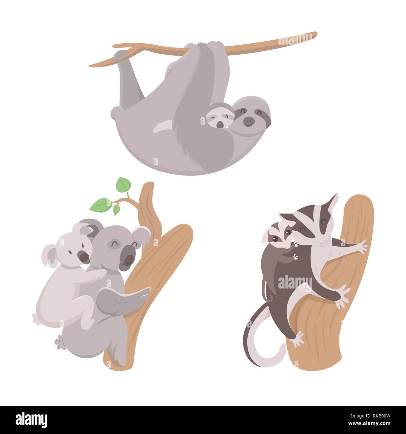 Sugar Glider Cartoon High Resolution Stock Photography And Images Alamy