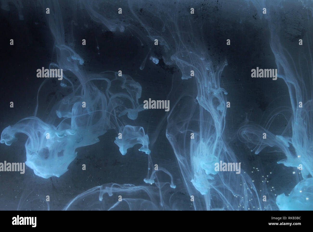 A drop of paint dissolves in water. On black background. Abstract ...