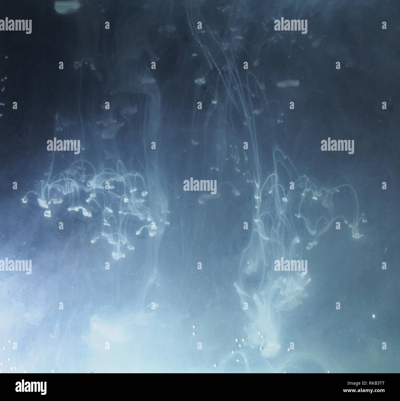 A drop of paint dissolves in water. On black background. Abstract ...