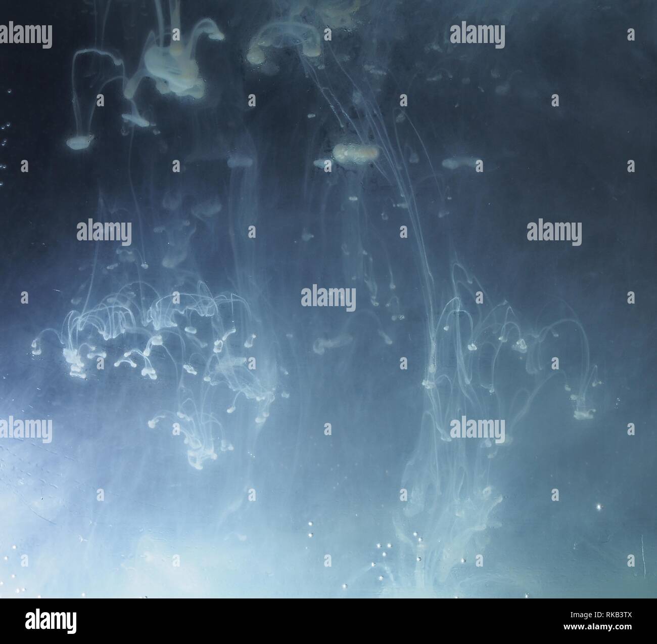 A drop of paint dissolves in water. On black background. Abstract ...