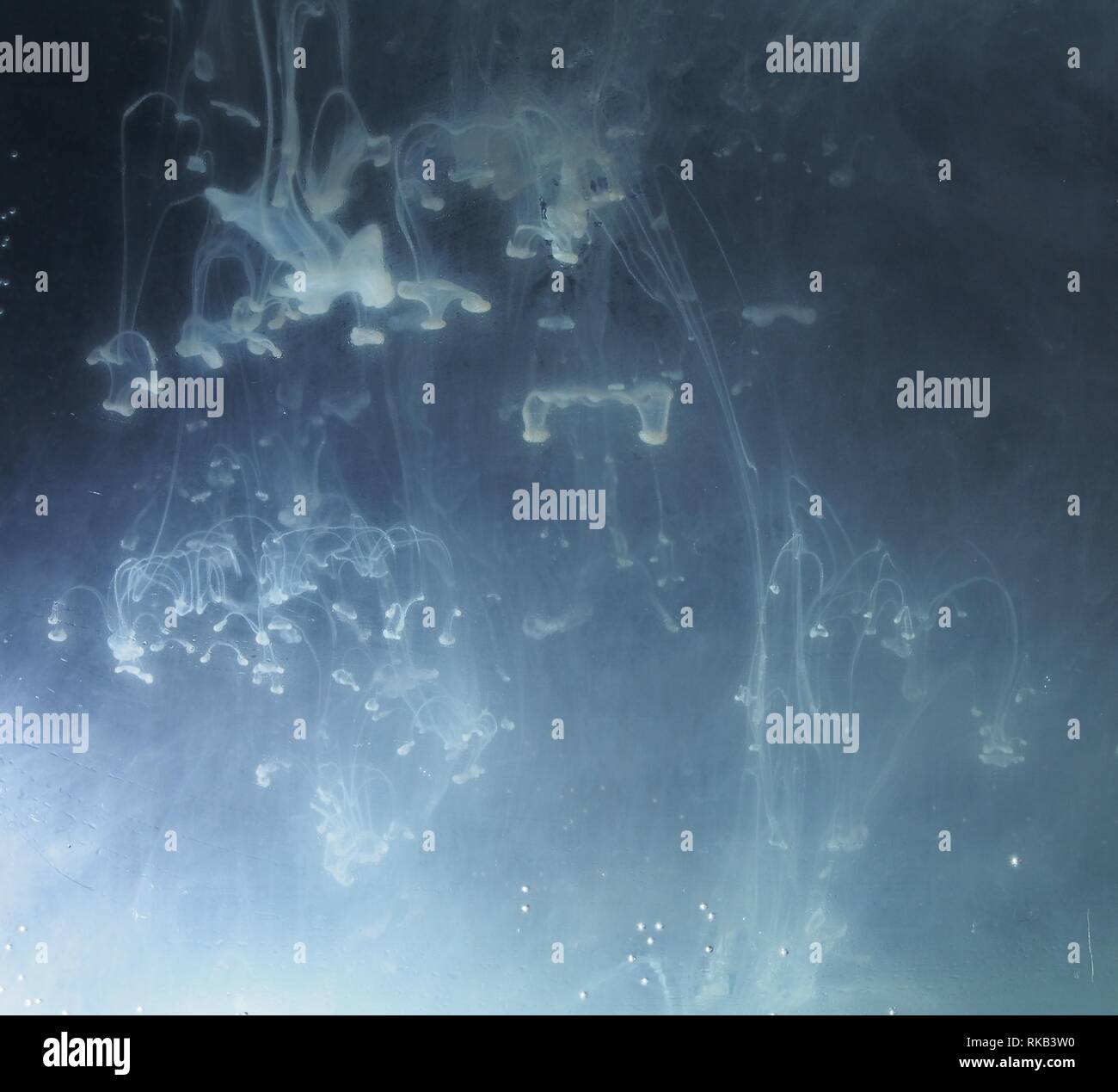 A drop of paint dissolves in water. On black background. Abstract ...