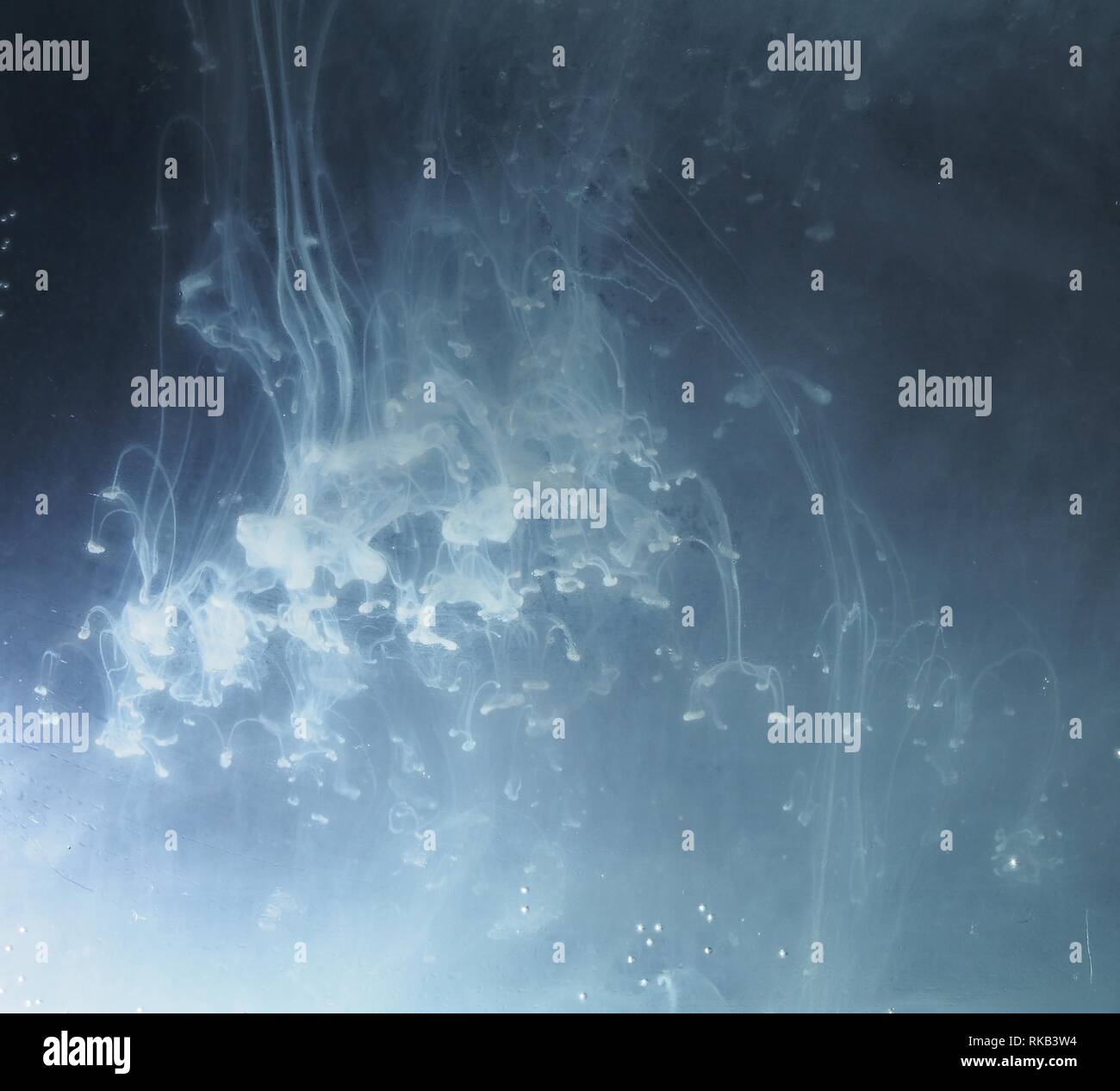 A drop of paint dissolves in water. On black background. Abstract ...