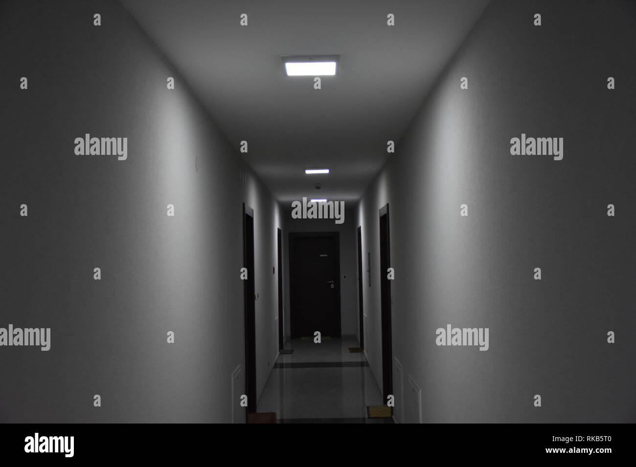 modern hallway in modern building Stock Photo - Alamy