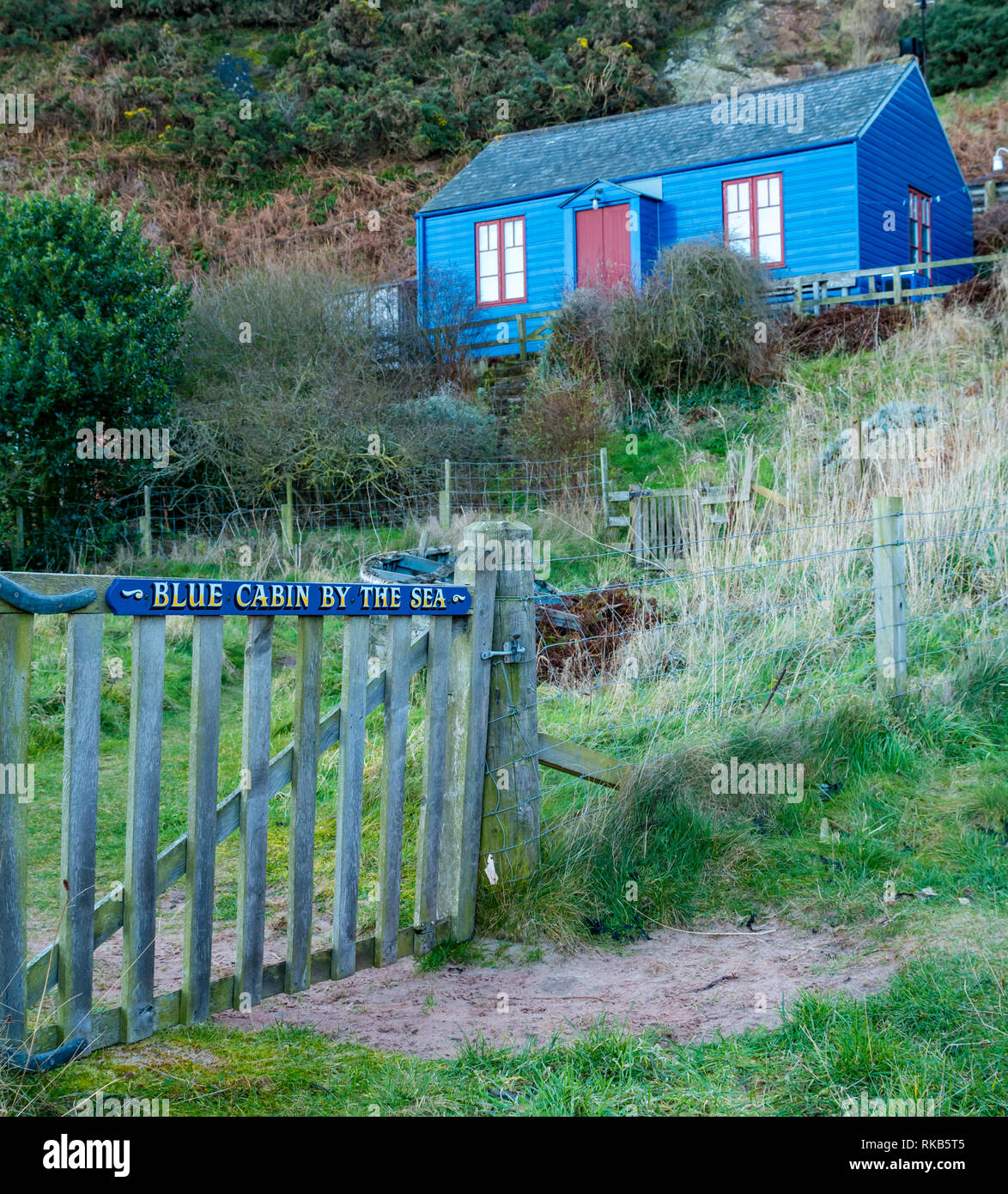 Blue Cabin by the Sea cottages, Cove harbour, Berwickshire, Scottish Borders, Scotland, UK Stock Photo