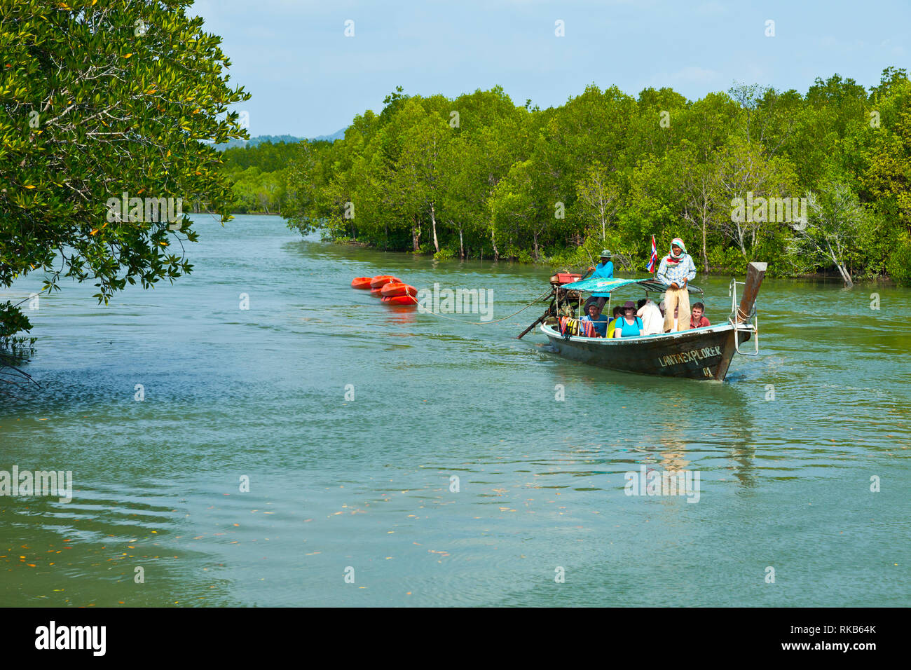 Mangrove swamp forest. Tung Yee Peng village. Koh Lanta. Krabi province