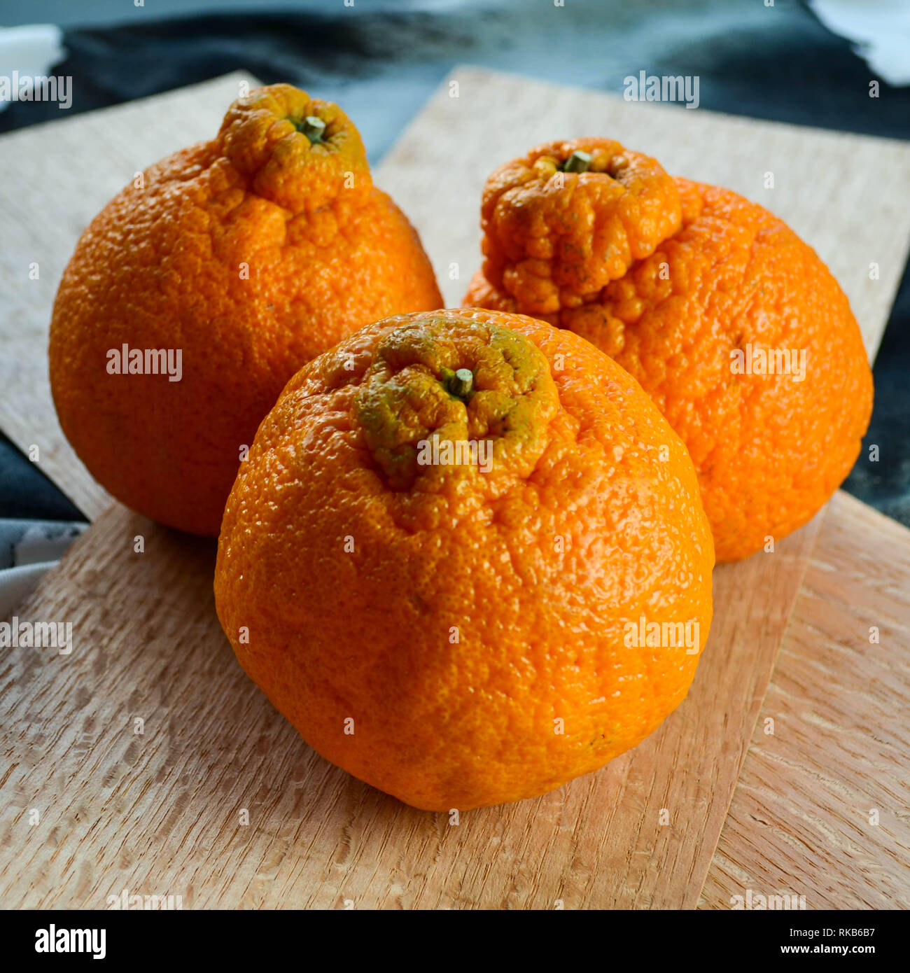 https://c8.alamy.com/comp/RKB6B7/dekopon-aka-sumo-citrus-fruits-RKB6B7.jpg