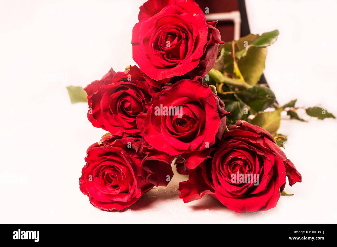 Spring bouquet of mixed flowers on vintage white wall background Stock