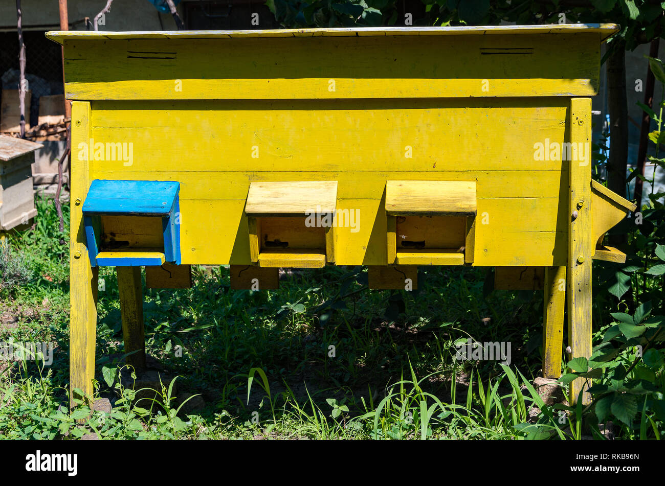 Apiculture. Yellow wooden bee hive. Stock Photo