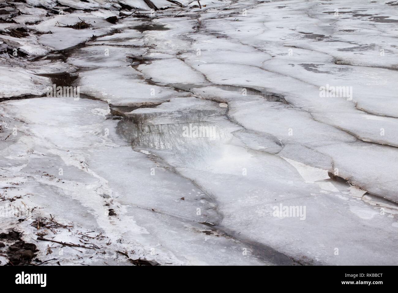 Croydon, Pennsylvania / USA - February 6, 2019: View of Jack's Marina wetland restoration at the confluence of the Delaware River and Neshaminy Creek. Stock Photo