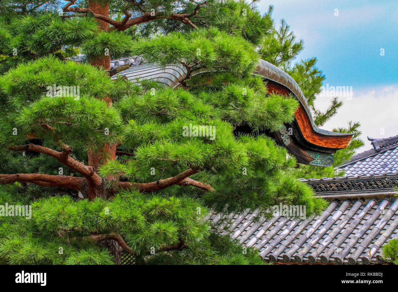Beautiful japanese garden architecture at Kinkaku-ji gardens, Kyoto Stock Photo