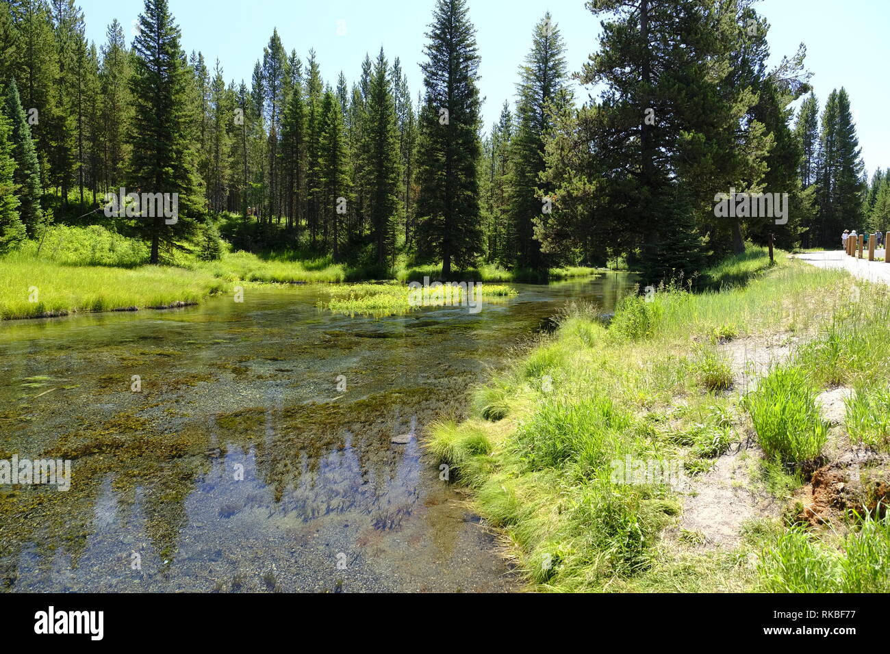 Big Springs on the Henry's Fork, Snake River, Idaho Stock Photo Alamy