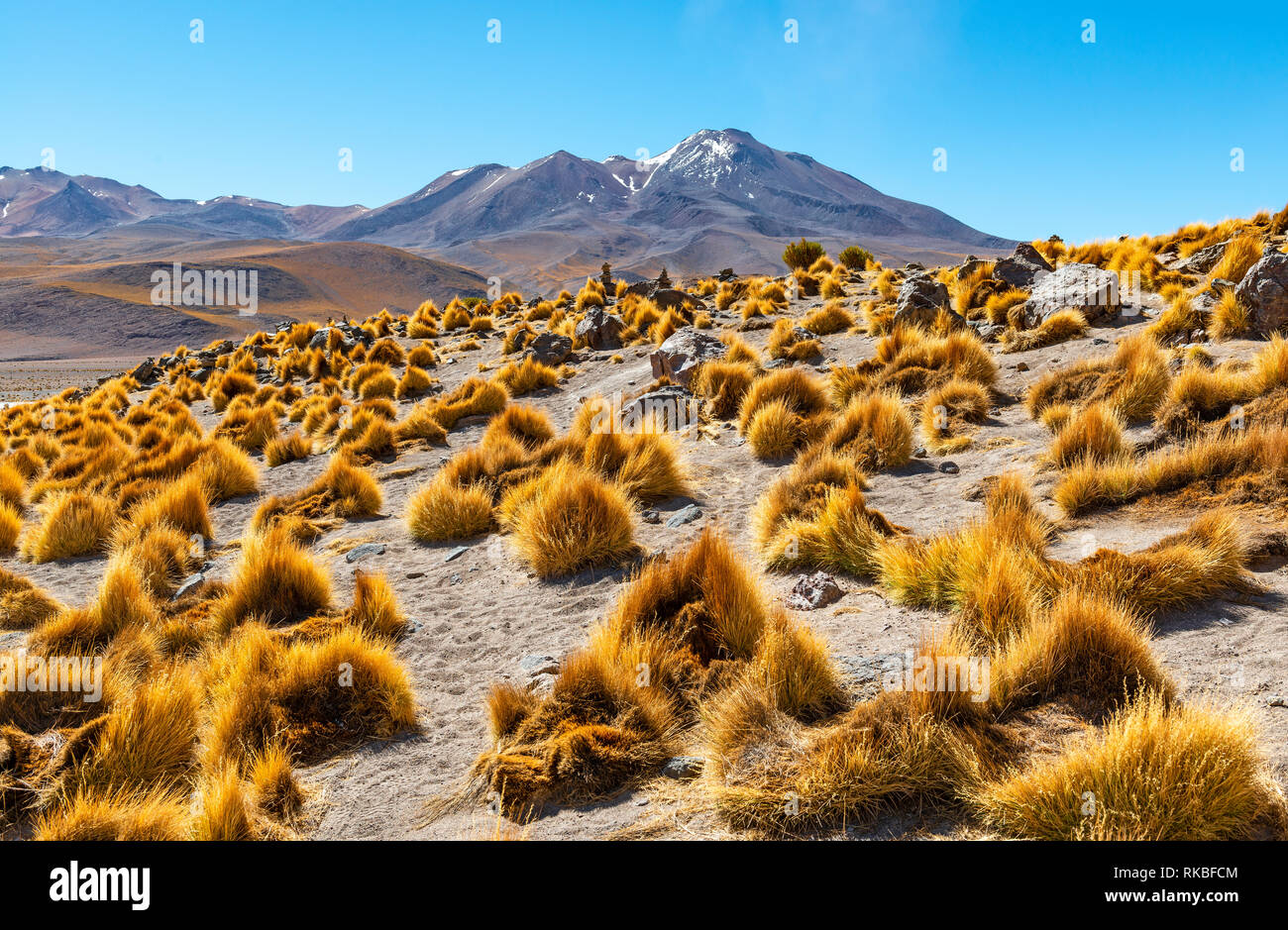 Landscape of the majestic Andes mountain range with Stipa Itchu Andes grass in the altiplano between Peru and Bolivia, South America. Stock Photo