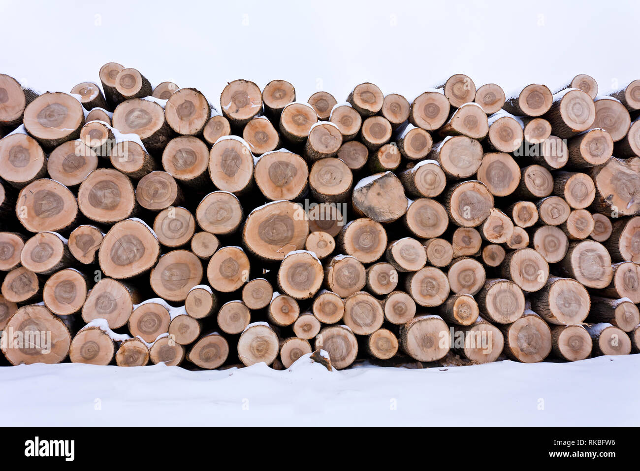 Pile of logs Stock Photo