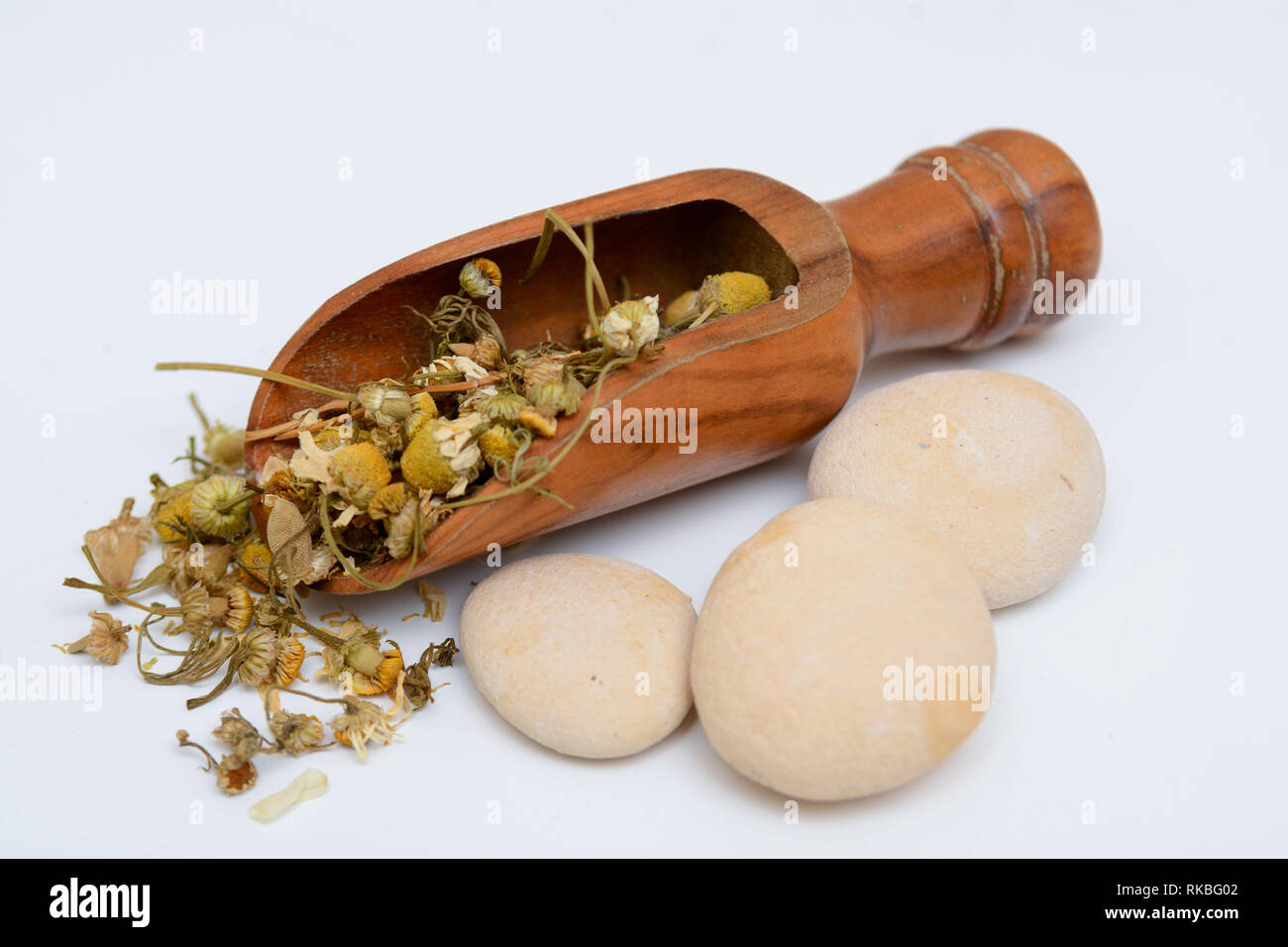 Chamomile flower, raw ingredient used to make chamomile tea and used in herbal remedies and