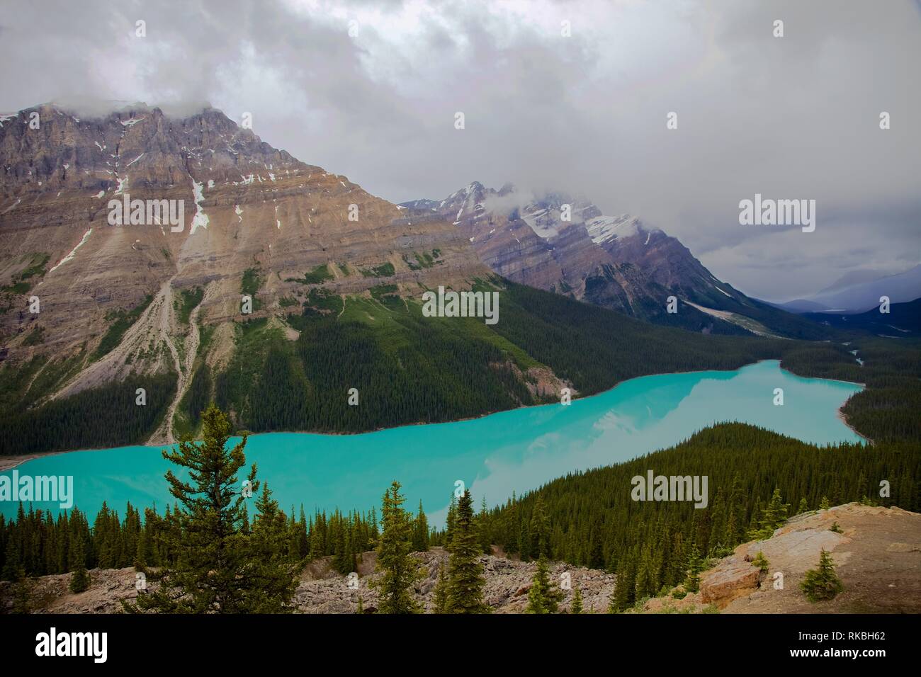 Peyto Lake in Banff National Park Canada Stock Photo - Alamy