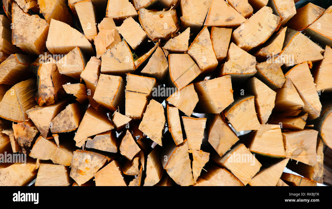 Freshly cut firewood, closeup Stock Photo