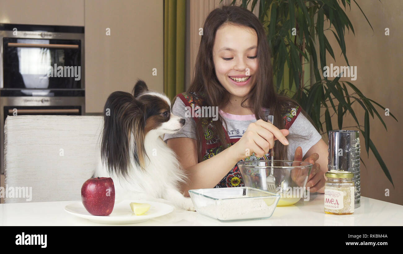 Teen girl with dog Papillon prepare cookies, knead the dough Stock Photo