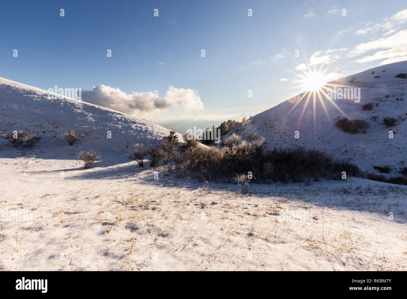 Subasio mountain (Umbria, Italy) in winter, covered by snow, with plants and sun Stock Photo