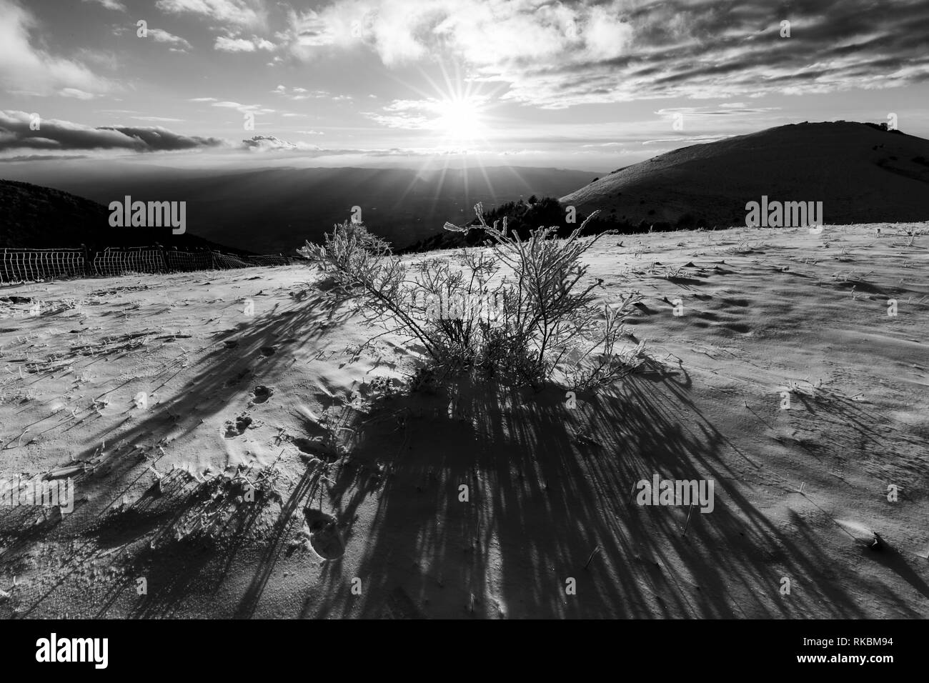 Subasio mountain (Umbria, Italy) in winter, covered by snow, with plants and sun Stock Photo