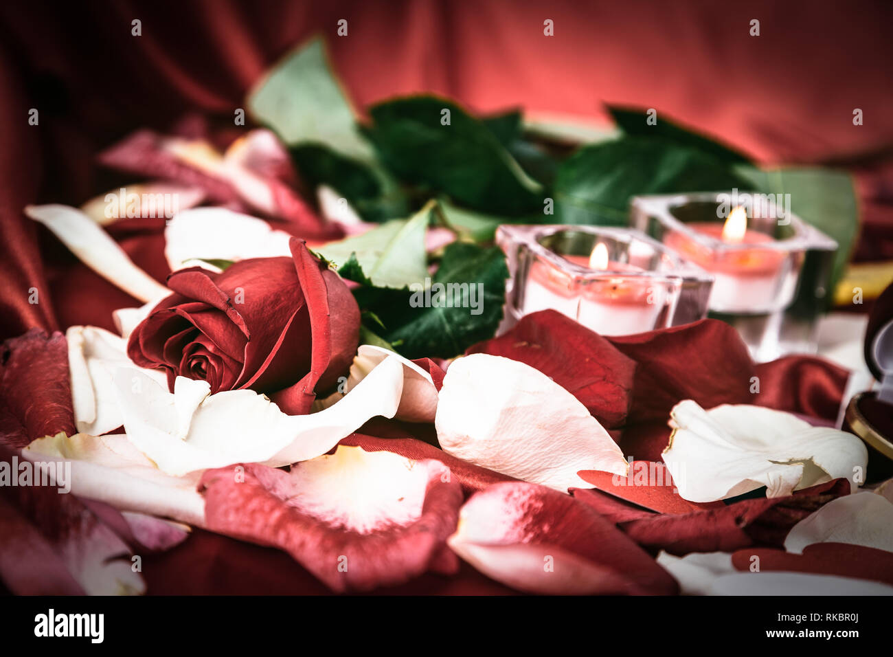 two candles and a red rose on a background of rose petals Stock Photo ...
