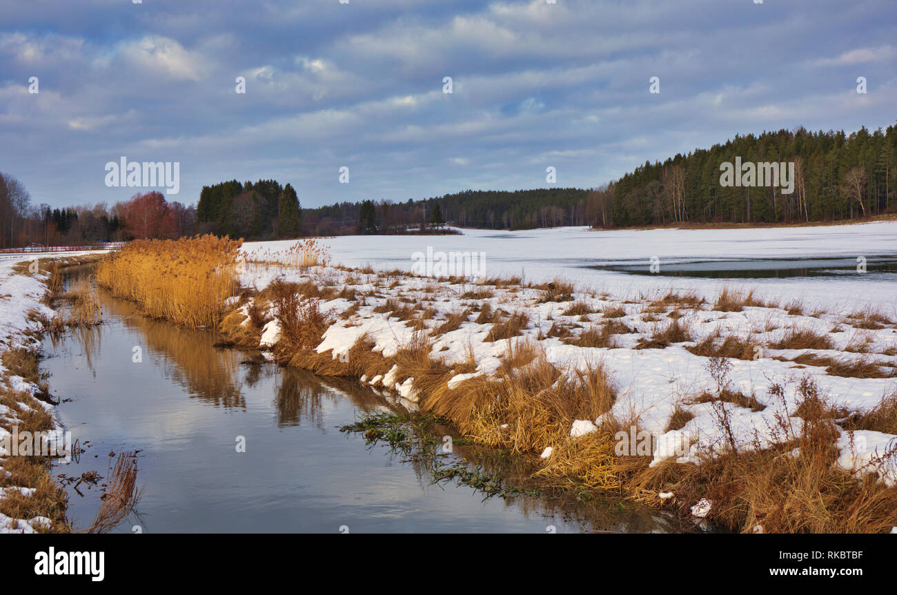Snowy winter landscape with stream and forest, Upplands Vasby, Stockholm, Sweden, Scandinavia Stock Photo